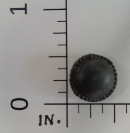 Medium pearled button, with scale