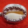 Cowrie Shell Amulet - Image 2