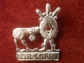 PINTEL IN Brooch