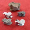 Sheep knuckle, two medieval tin or lead knucklebones, two of our knucklebones