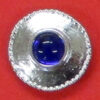 button with blue stone